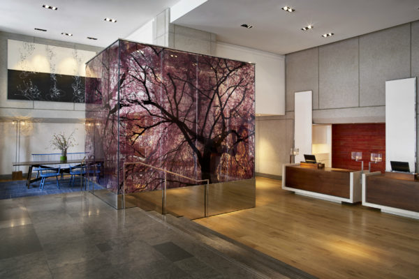 Park Hyatt lobby in Washington, DC