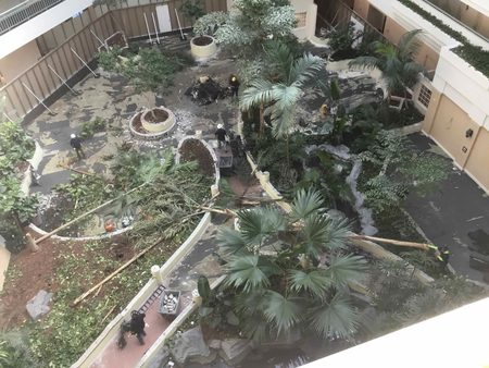 Removal of greenery from Embassy Suites atrium
